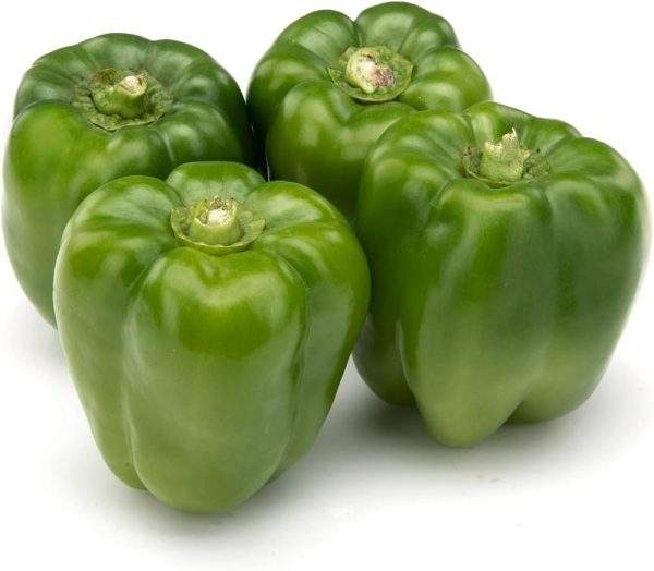 capsicum