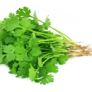 coriander leaves