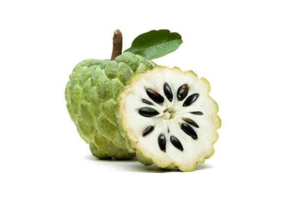 Custard Apple (Sitaphal)