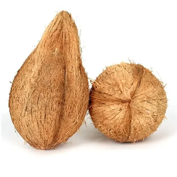 Coconut