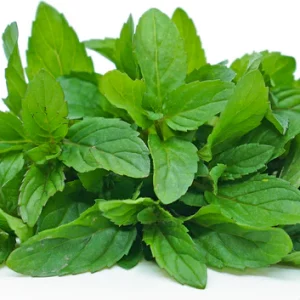 mint leaves