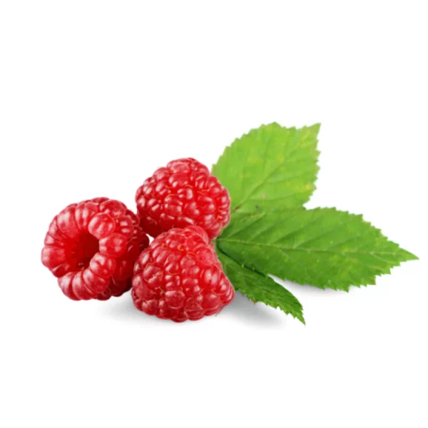 raspberry