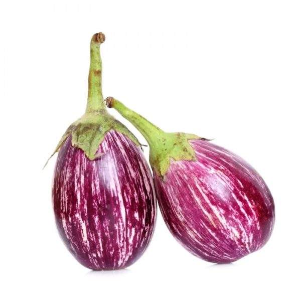 striped purple brinjal